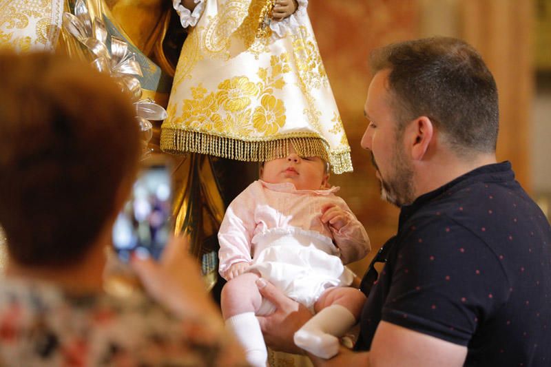 Besamanos a la Virgen de los Desamparados