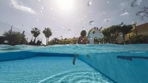 Piscines, brou de cultiu de malalties: quines infeccions pots agafar i com prevenir-les
