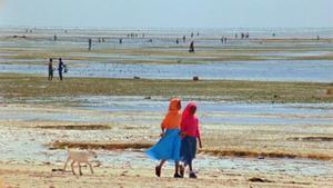 En la imagen, una playa de Zanzíbar.