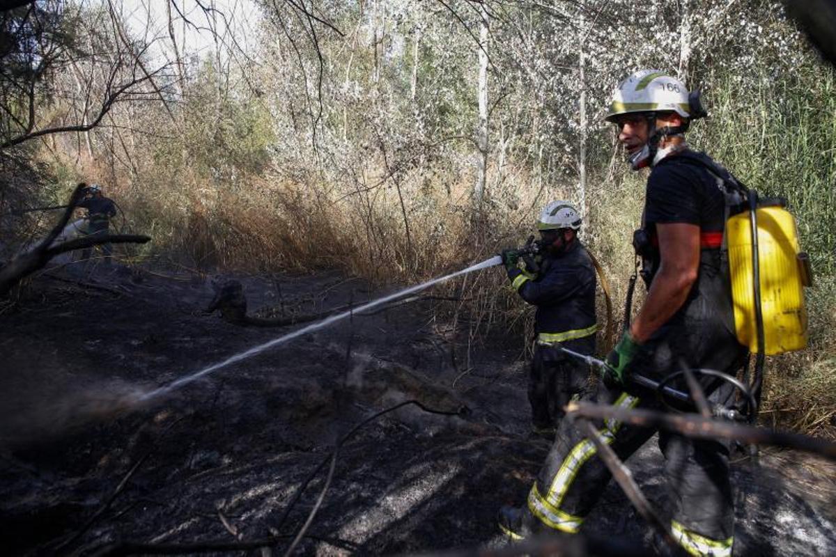 Nuevo incendio de vegetación en la ribera, junto al C3A