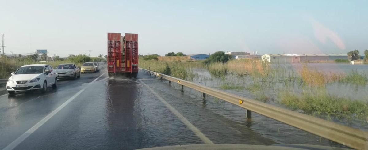 En directo: Los agricultores cifran en 550 millones las pérdidas en el campo de la provincia de Alicante
