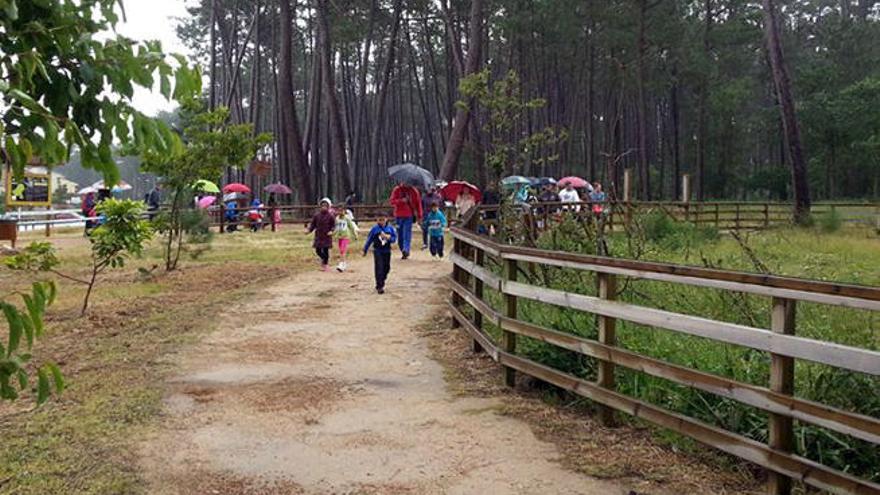 Uno de los senderos que permiten descubrir el Parque Forestal de la isla de A Toxa. // FDV