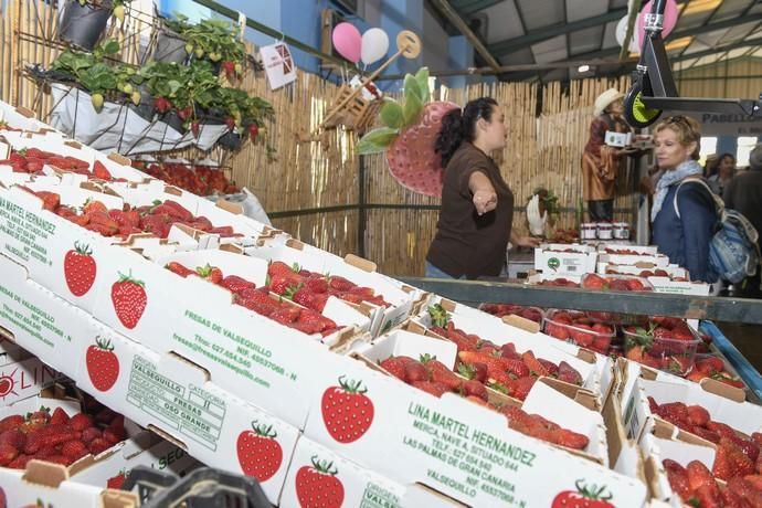 GRAN CANARIA 29-04-2018   VALSEQUILLO.  Feria de ...