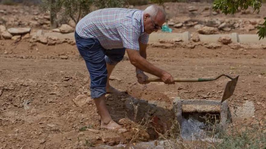 Un agricultor distribuye agua de riego del Tajo en su explotación.