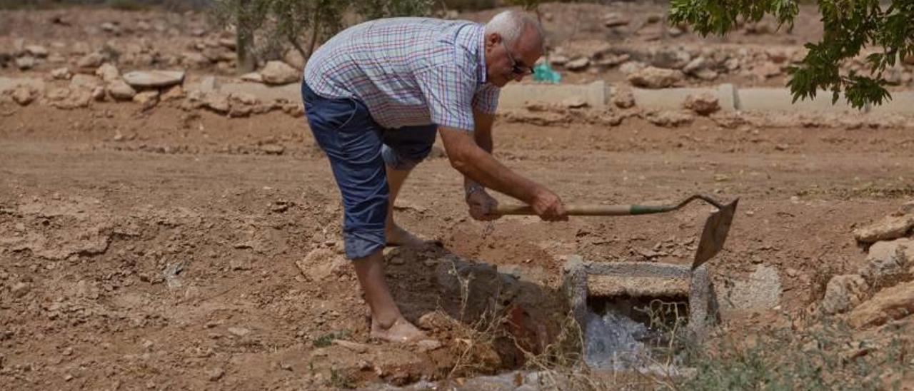 Un agricultor distribuye agua de riego del Tajo en su explotación.