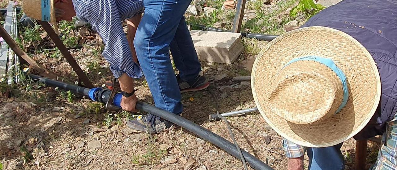 Los agricultores malagueños temen un verano de restricciones más acusadas que en 2022.
