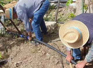 La sequía extrema sitúa al borde del desastre a miles de agricultores en la provincia