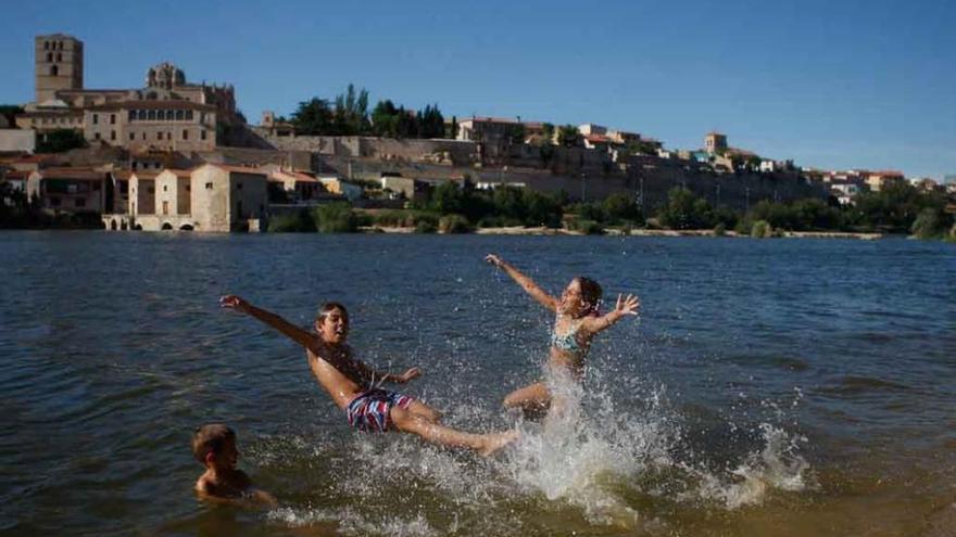 Varios se refrescan en las aguas del río Duero. Foto