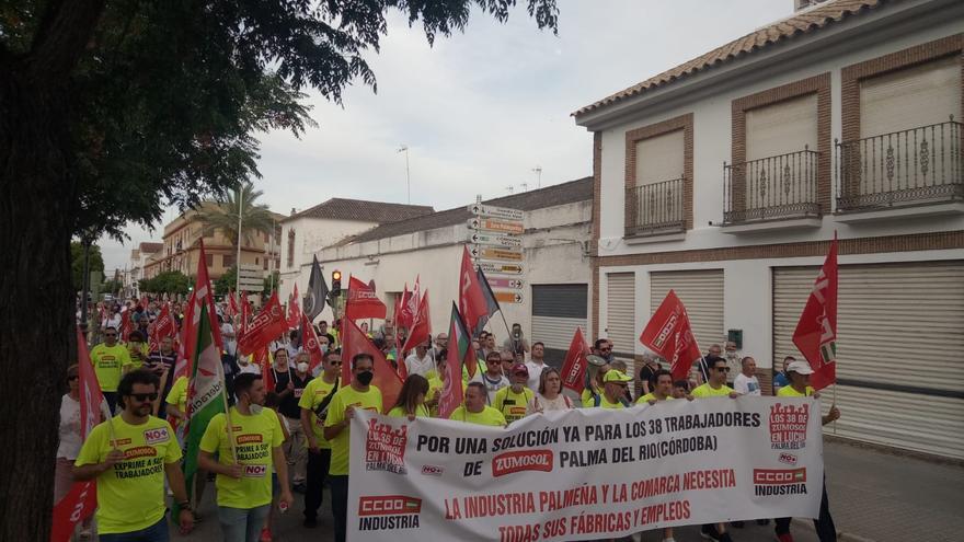 Cientos de personas apoyan a la plantilla de Zumos Palma en una manifestación