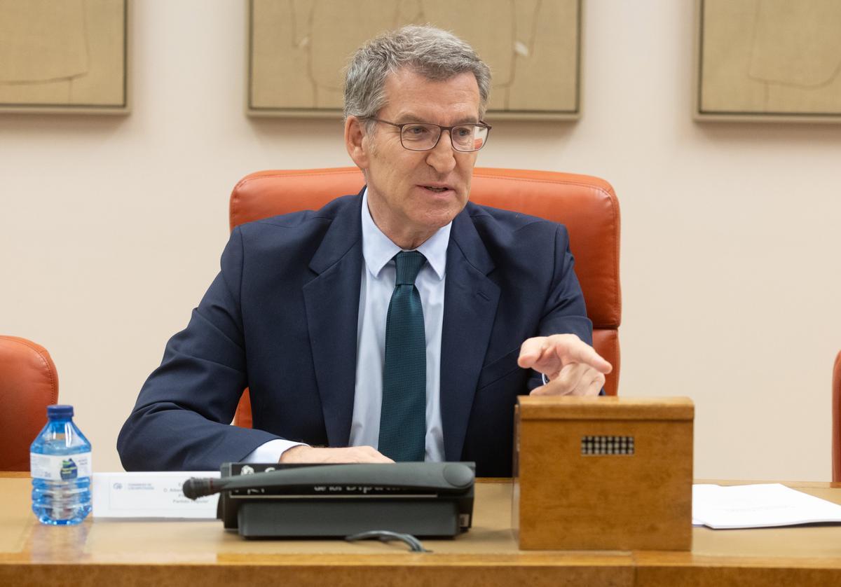 El líder del PP, Alberto Núñez Feijóo.