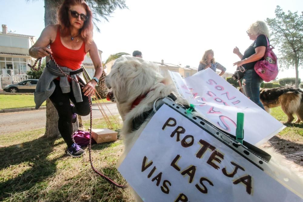 Manifestación en San Miguel de Salinas por la segu