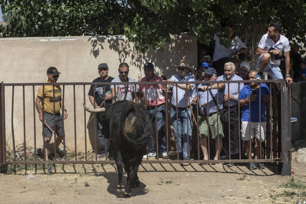 Espantes de Fuentesaúco