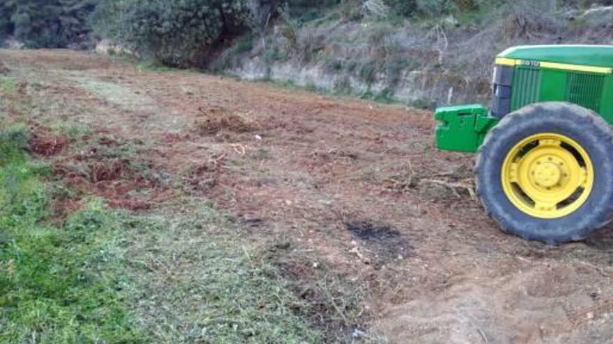Xeraco obliga a limpiar parcelas agrícolas que han sido abandonadas