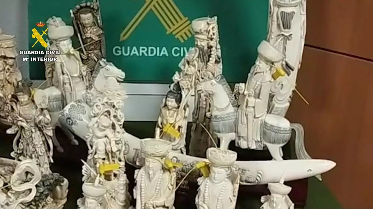 Intervienen 32 piezas de marfil en València: se estima un daño a la fauna de 3,6 millones de euros