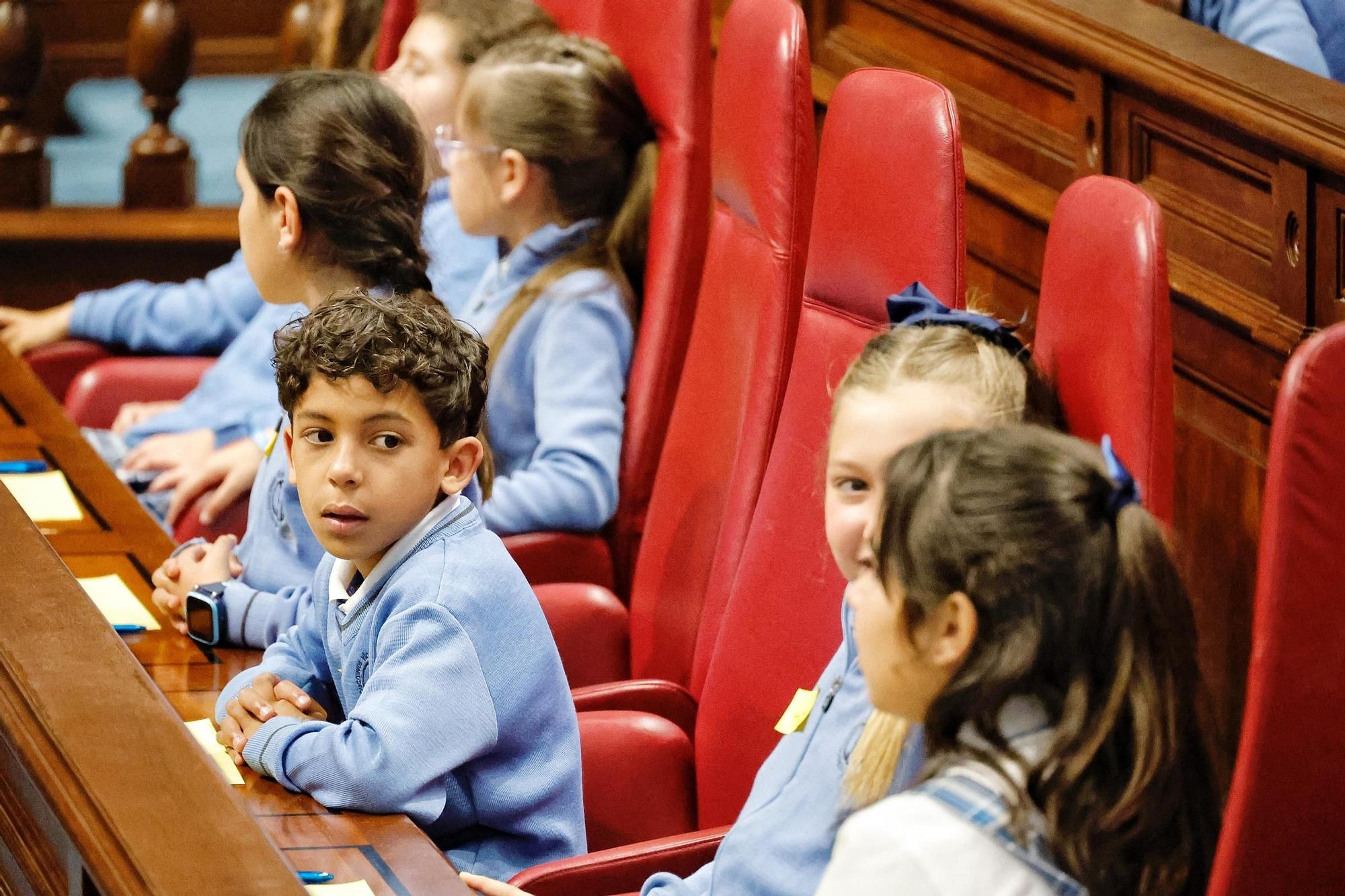 Escolares en el Parlamento de Canarias