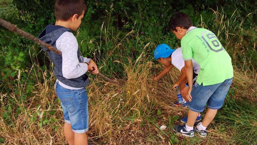 Unos niños exploran el monte en busca de grillos o saltamontes. // FDV