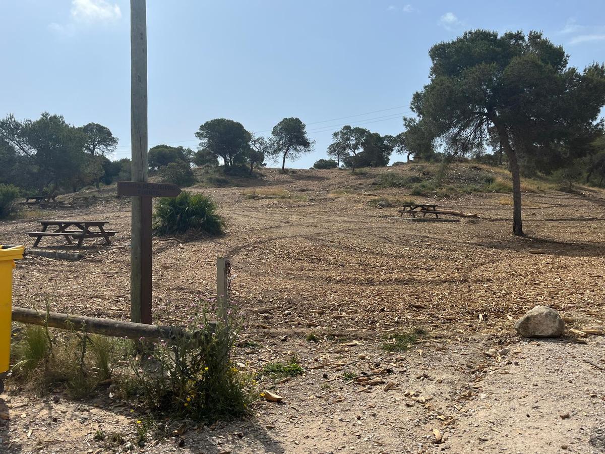 Desbroce en el parque El Recorral de Rojales