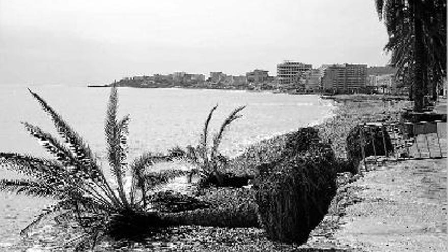 El efecto del temporal sobre las playas de Orpesa.