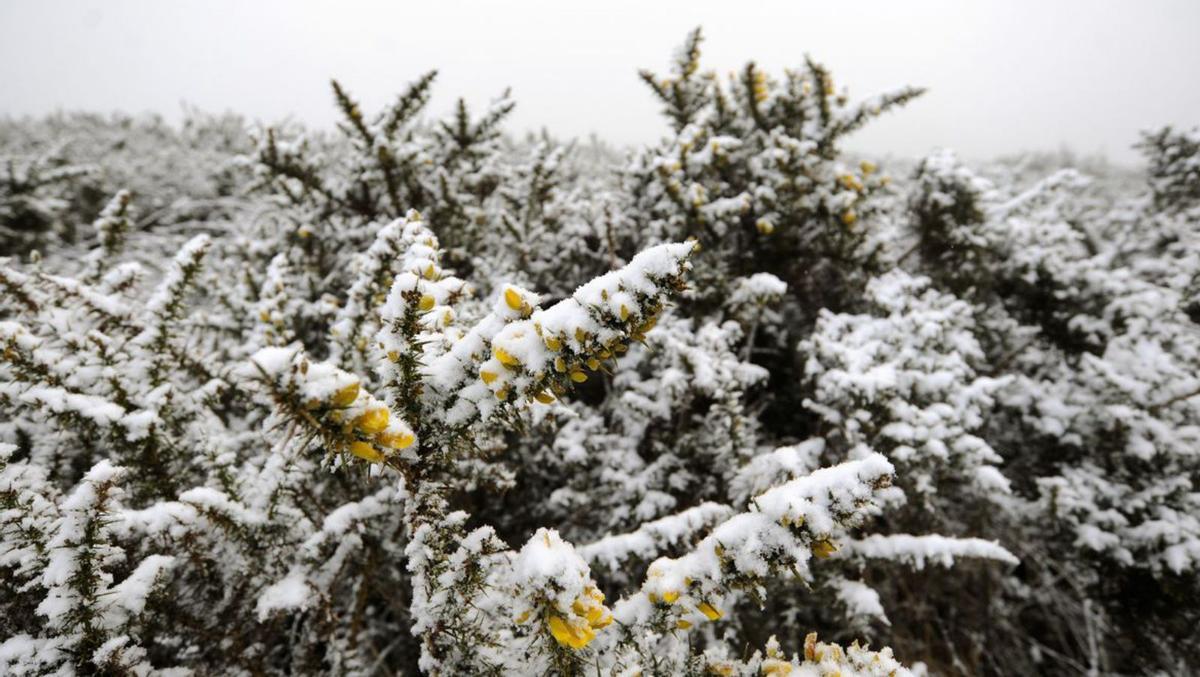 La nieve reaparece en el Alto de Xindiriz durante la mañana