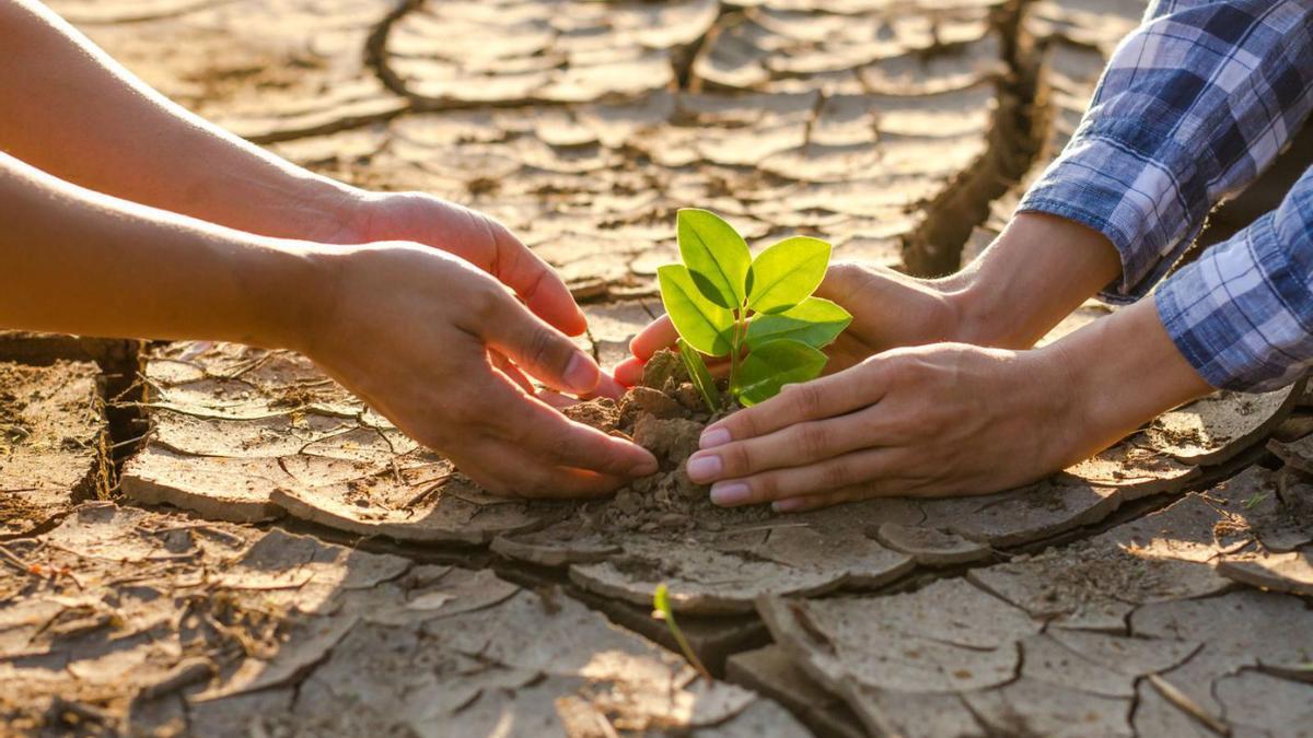 La sequía extrema es una de las graves consecuencias del cambio climático. |