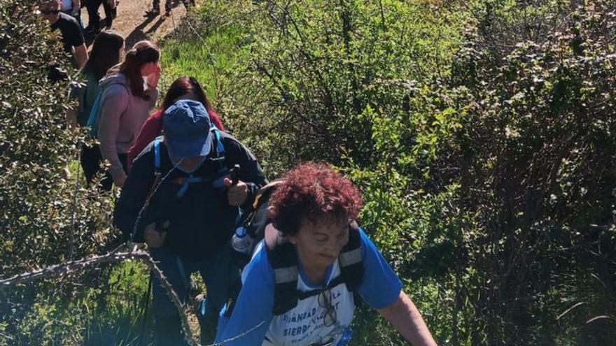 La caminata transcurrió por un recorrido de 12 km. | SERVICIO ESPECIAL