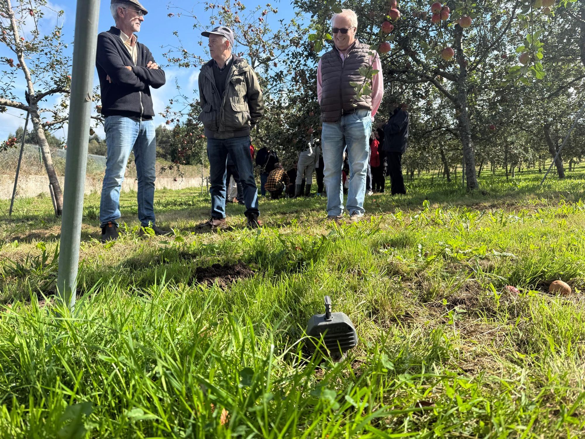 El SERIDA explica sobre el terreno las medidas de protección contra las plagas de roedores en pomaradas