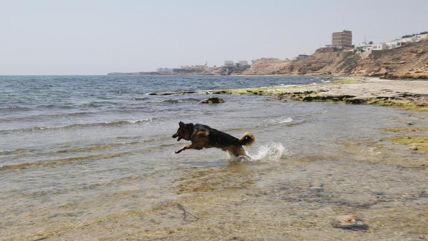 Cala del Moro en Torrevieja