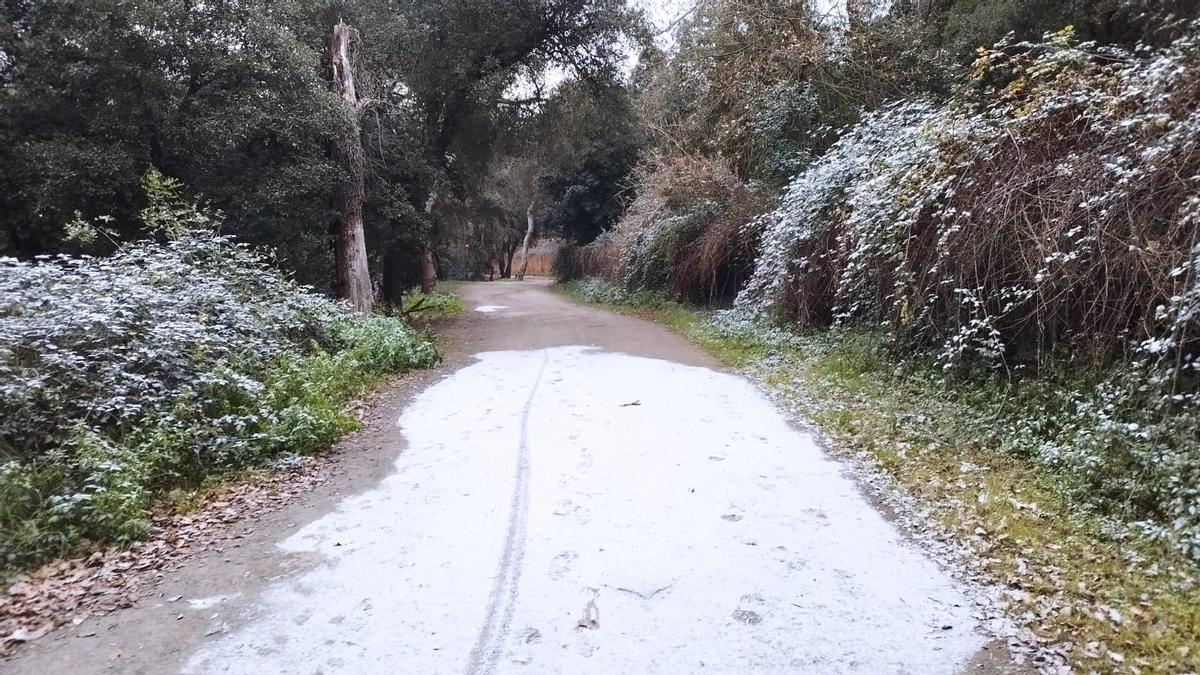 Nevada en la Serra de Collserola, Santa María de Vallvidrera