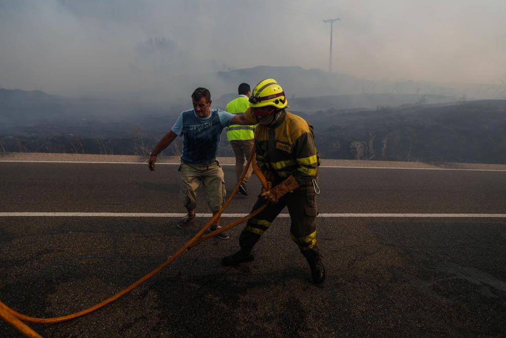 Incendio forestal Arribes