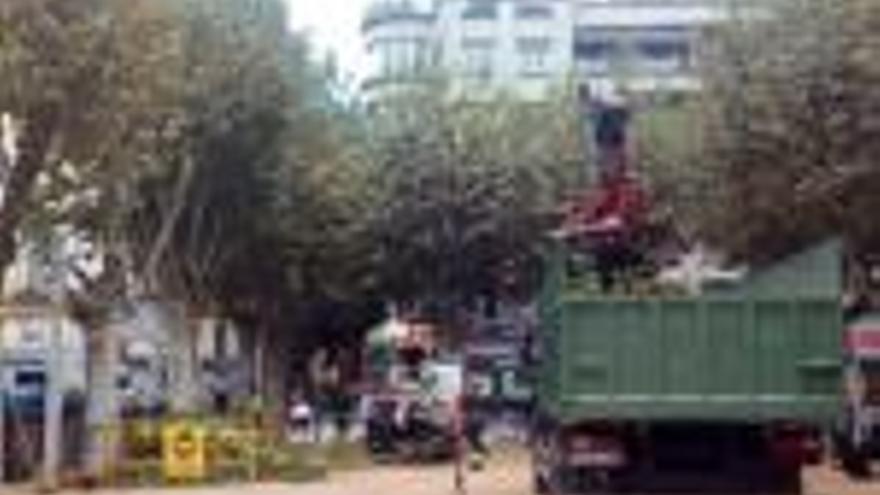 Actuació als arbres de la plaça Poeta Marquina.