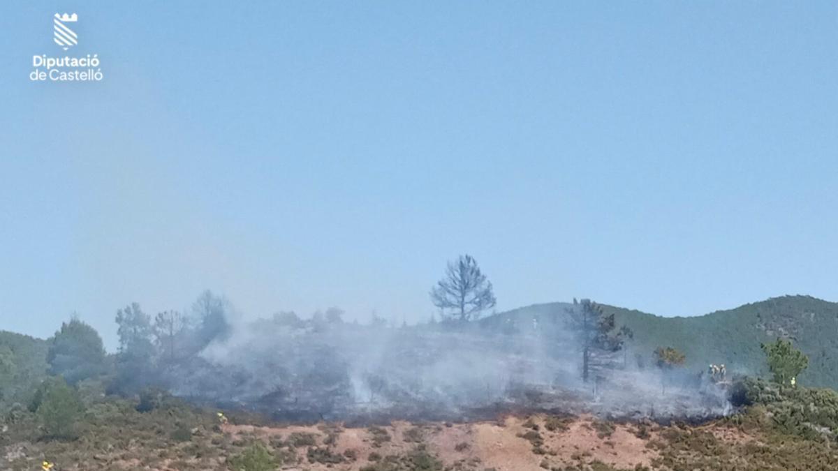 El incendio de Pina de Montalgrao se encuentra estabilizado.