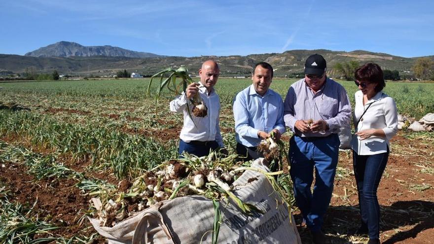 Salas y Ruiz Espejo, en la Finca Las Moscosas de Antequera.