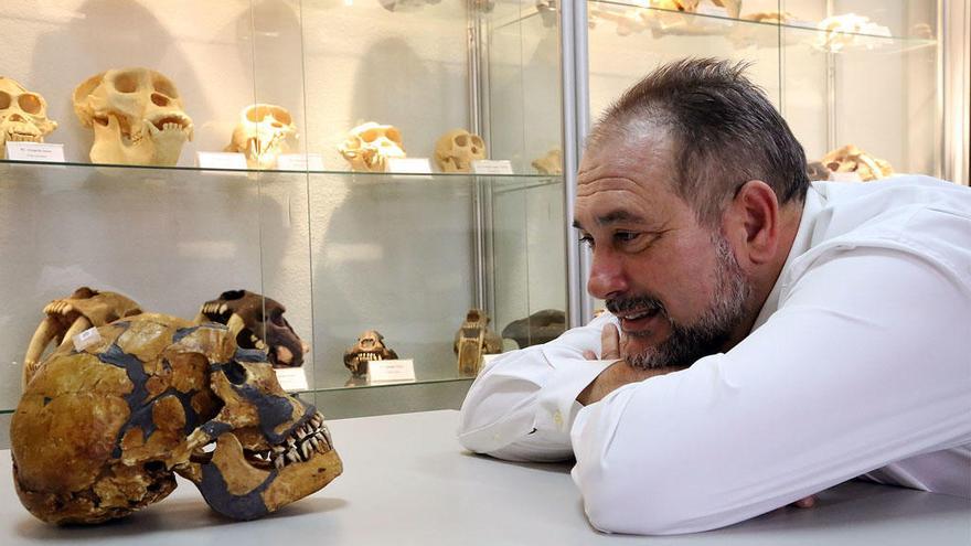 El profesor de la UMA Juan Antonio Pérez Claros muestra la colección de cráneos.
