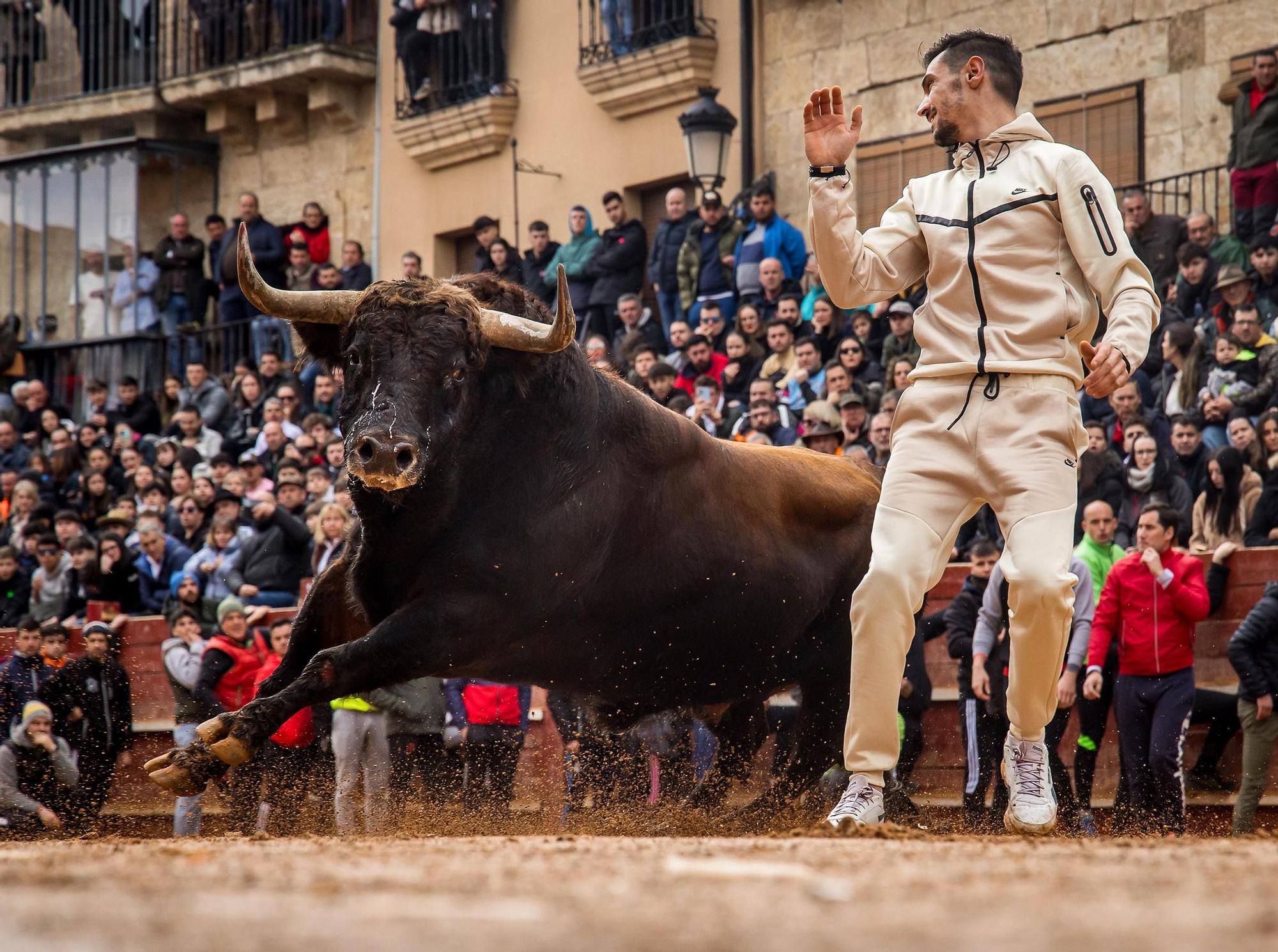 GALERÍA: El martes de Carnaval del Toro en Ciudad Rodrigo se salda con siete intervenciones sanitarias