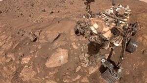 La NASA troba possibles indicis de vida passada en unes roques de Mart