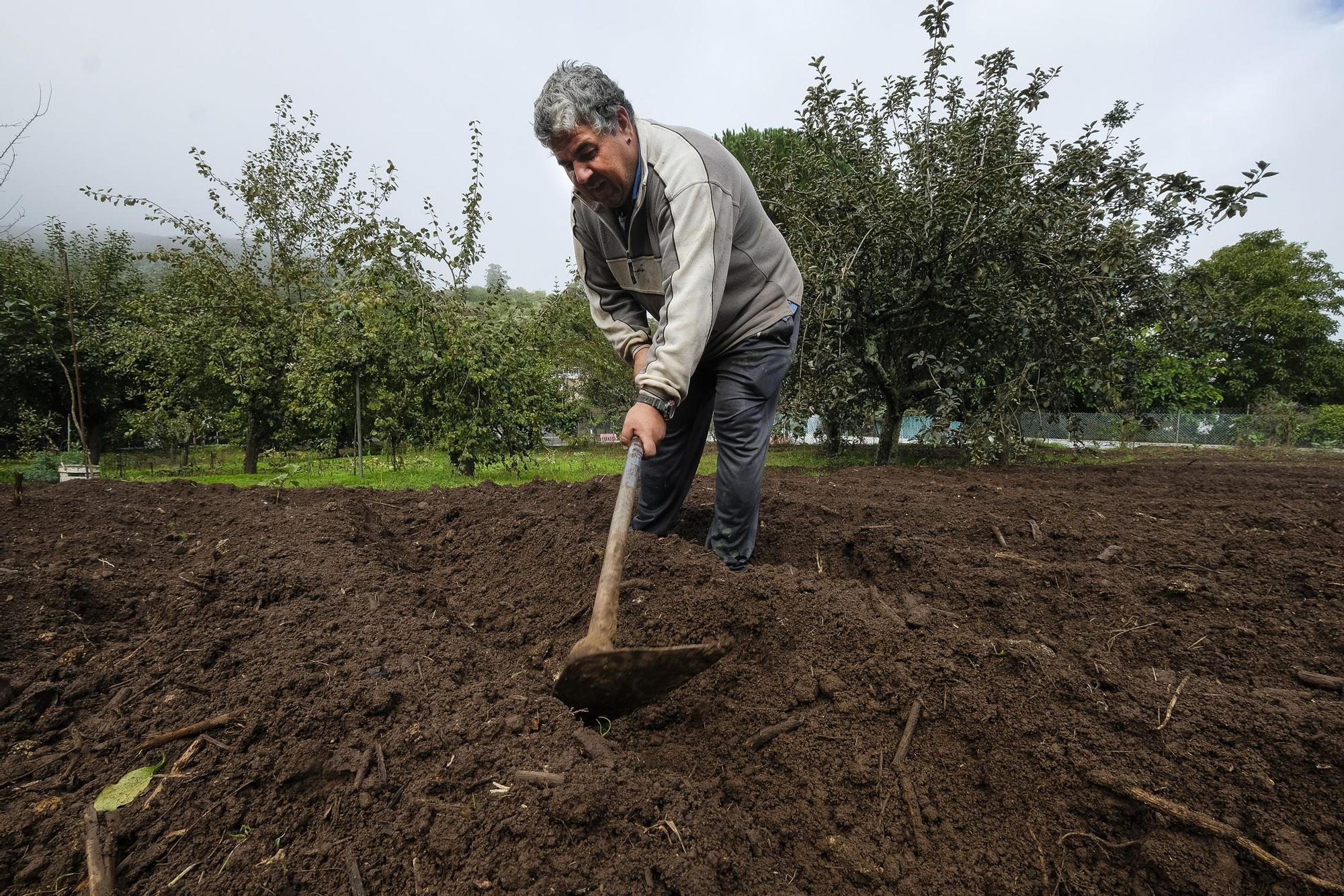 Un chubasco de manzanas