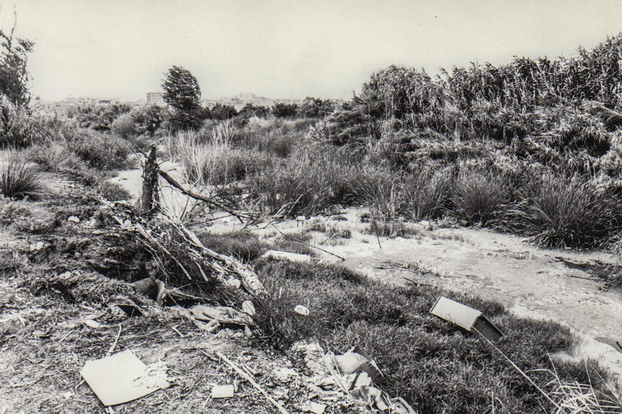 Así era el rio Turia en València antes de convertirse en un jardín