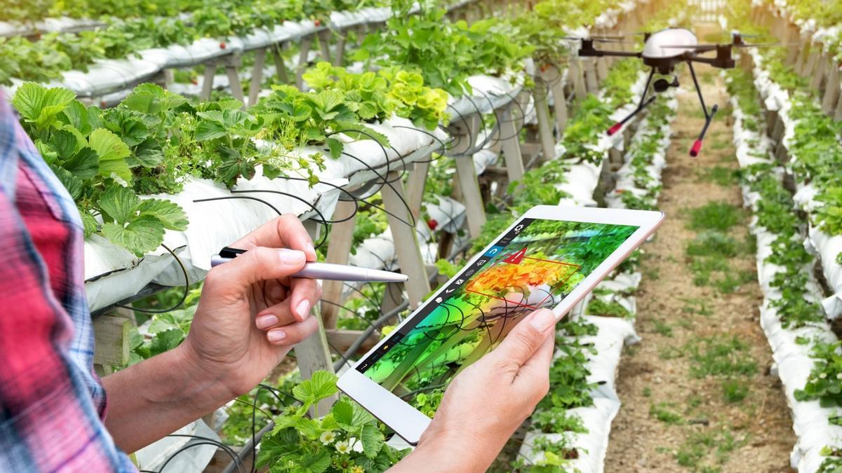 Más de 800 pymes agroalimentarias andaluzas se benefician de los 346 servicios digitales de Andalucía Agrotech.