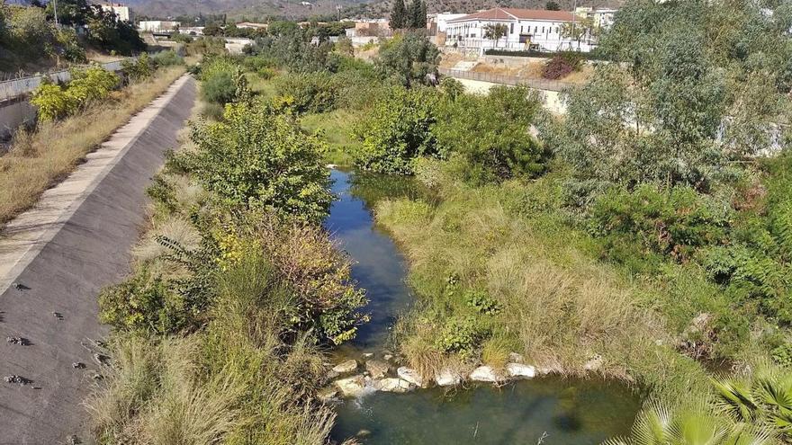 Así podría lucir todo el cauce del Guadalmedina. La foto fue tomada hace unos meses a la altura de Las Virreinas, donde el cauce del Guadalmedina ha dejado atrás el suelo de hormigón y la Naturaleza ha tomado posesión del río, todavía en pleno casco urbano. La propuesta de Ecologistas en Acción es la misma que con tanto éxito han hecho posible en Madrid con el río Manzanares, que en pocos años se ha convertido en un vergel y sin divergencias políticas: los populares madrileños también respaldaron la operación.