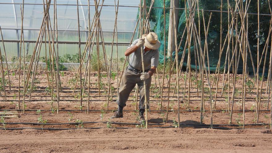 Manresa es prepara per aprofitar millor la producció agrària i ramadera local