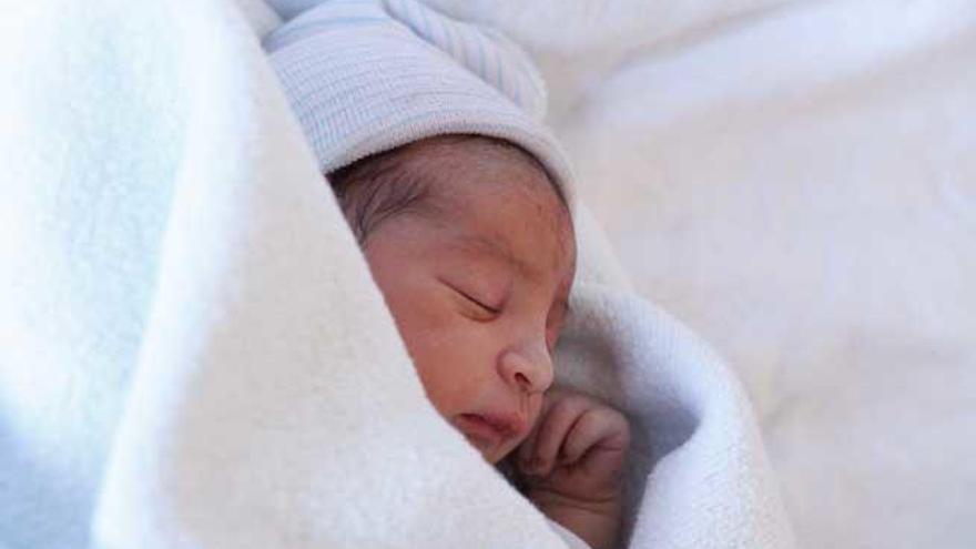Un recién nacido en Can Misses.