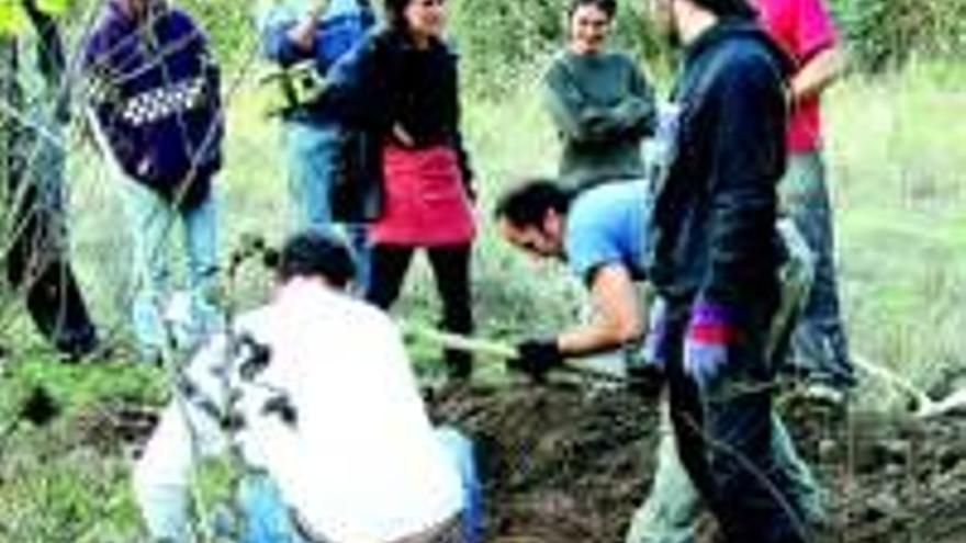 Piden acelerar la exhumación en Valverde por un proyecto industrial