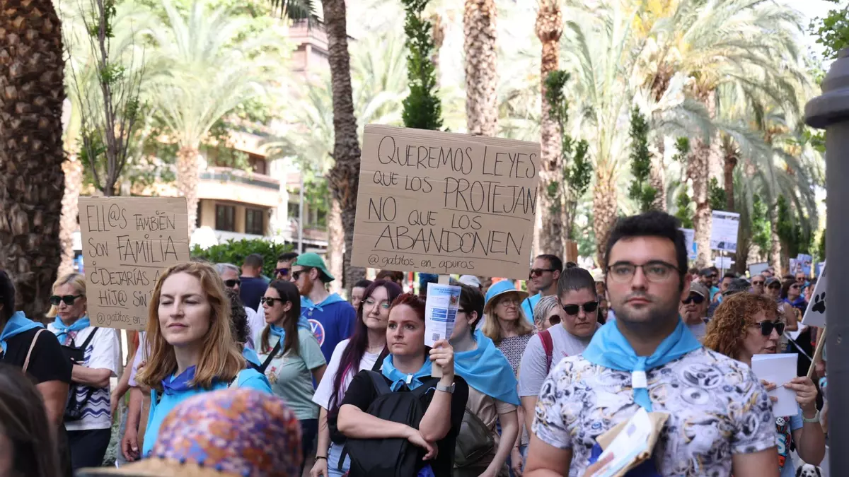 Los veterinarios de Alicante valoran positivamente el cambio en la ley que permite el uso de ciertos antibióticos