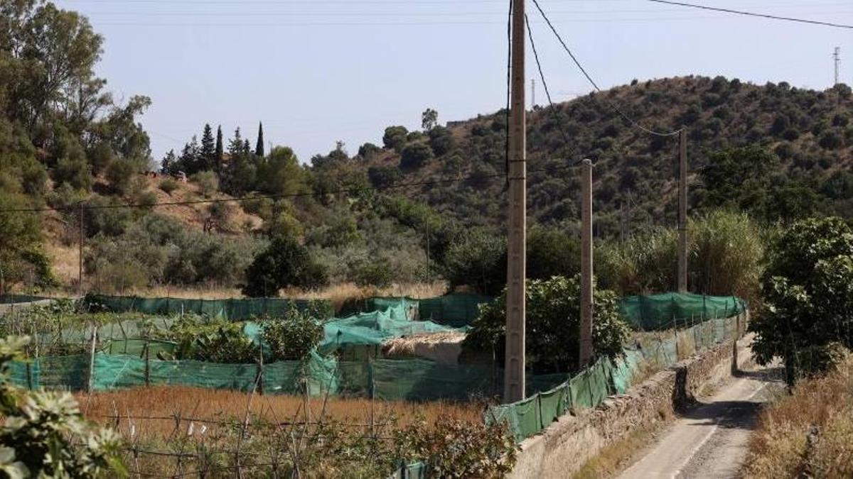 Zona en la que han recuperado el cadáver en un pozo.