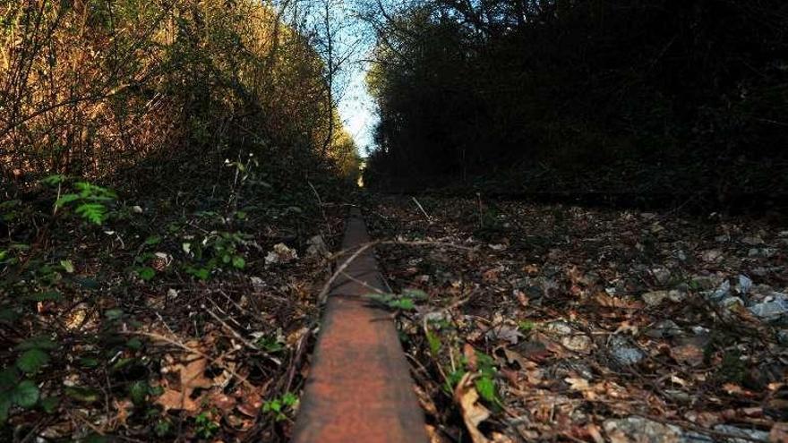 Imagen de la vieja vía abandonada que se quiere recuperar. // I. Abella