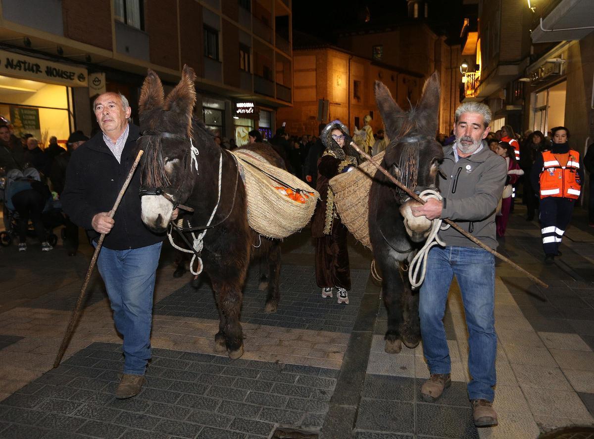 En el Centro de Ocio ‘Los Caños’, Luis Cantera se dedica ha conservar esta especie de burro en peligro de extinción