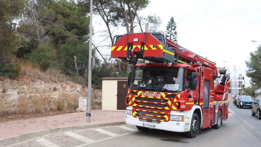 Un árbol cae sobre un tendido de luz en Santa Eulària