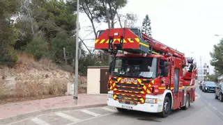 Posibles cortes de luz en Santa Eulària por la caída de un árbol sobre el tendido eléctrico