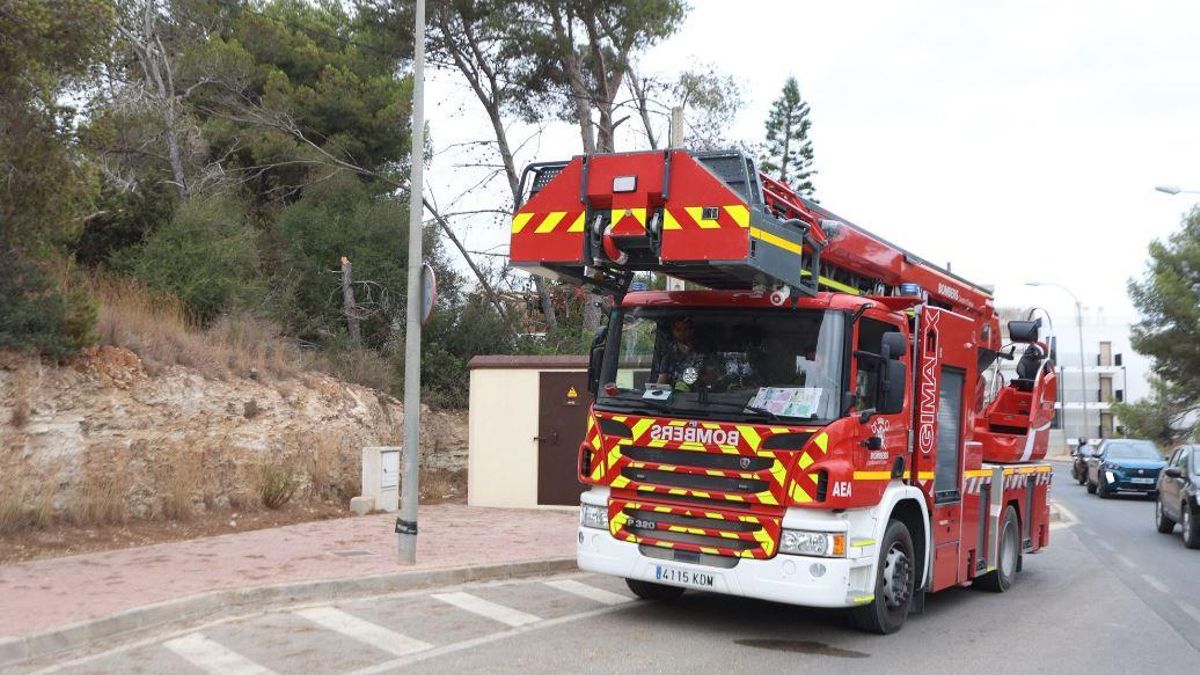 Los bomberos han retirado el árbol de la zona
