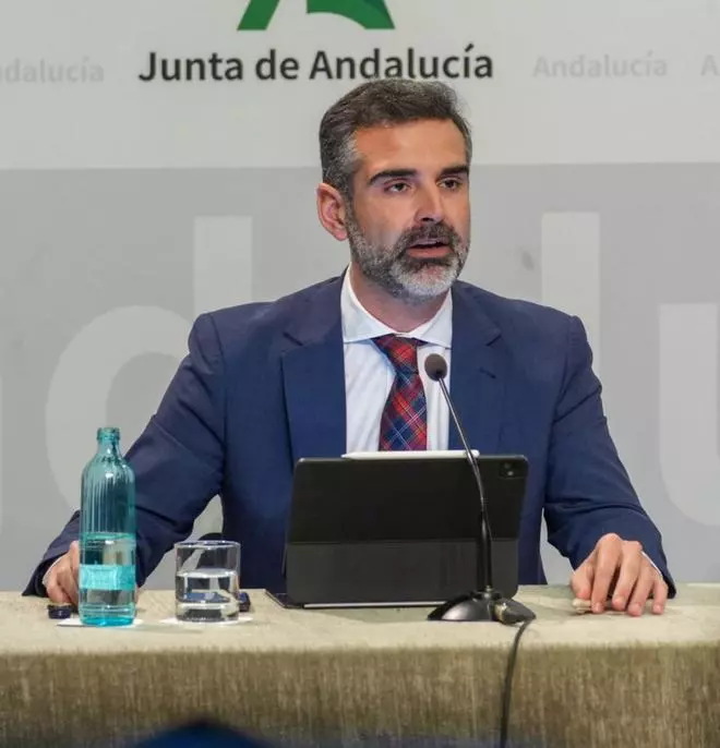 Aprobada la estrategia andaluza del olivar, que contará con 986 millones